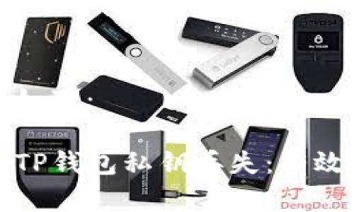 和关键词如下：

如何应对TP钱包私钥丢失：有效恢复指南