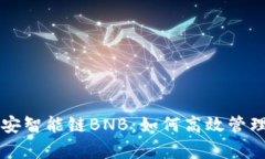 深入解析TP与币安智能链